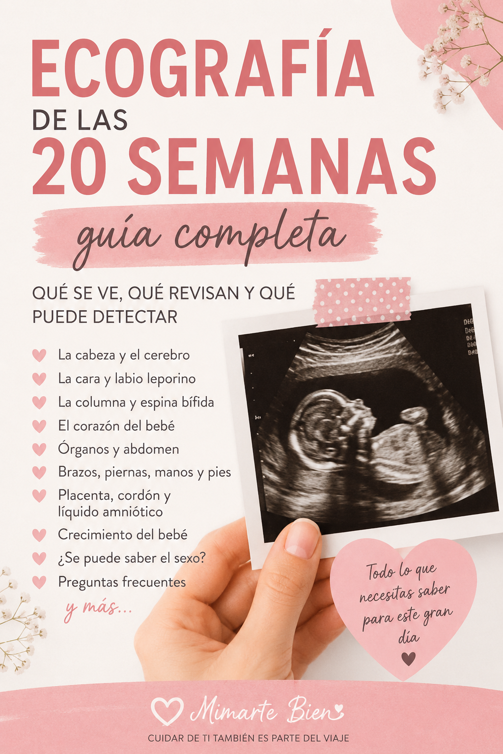 Ecografía de las 20 semanas: qué se ve, qué revisan y qué puede detectar